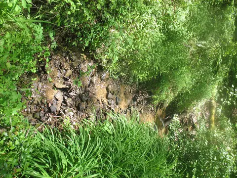 9999 Fields Fork Rd, Viper, KY 41774 photo 7