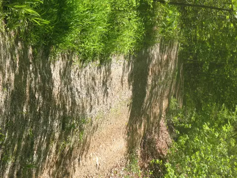 9999 Fields Fork Rd, Viper, KY 41774 photo 9
