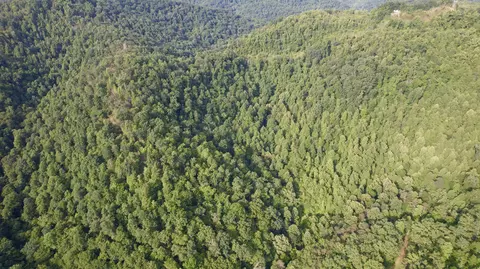 9999 Fields Fork Rd, Viper, KY 41774 photo 13