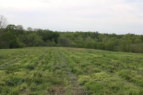 1 Upper Lick Rd # -A, Carlisle, KY 40311