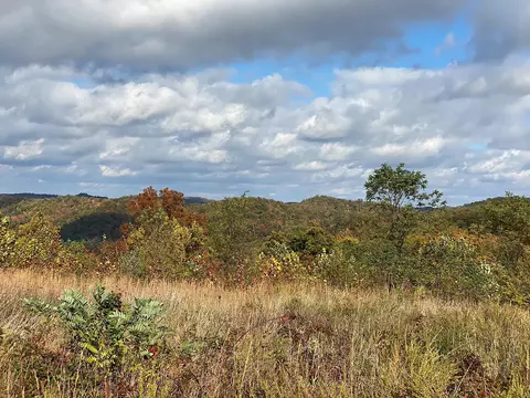 Other - 3980 Ky 66, Oneida, KY 40972 photo 6 of 12