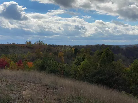 View/Area - 3980 Ky 66, Oneida, KY 40972 photo 7 of 12