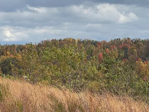 Other - 3980 Ky 66, Oneida, KY 40972 photo 1 of 12