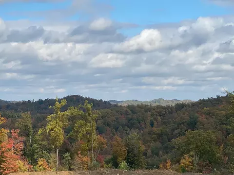 View/Area - 3980 Ky 66, Oneida, KY 40972 photo 4 of 12
