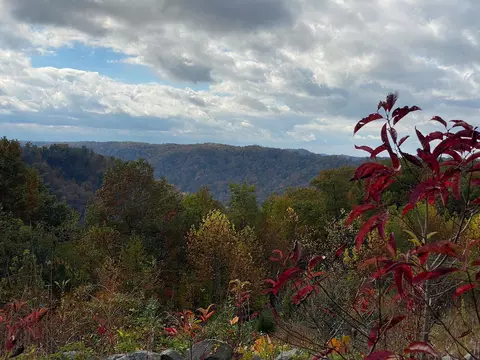 Other - 3980 Ky 66, Oneida, KY 40972 photo 8 of 12