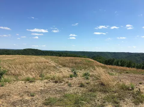 View/Area - 3980 Ky 66, Oneida, KY 40972 photo 3 of 12