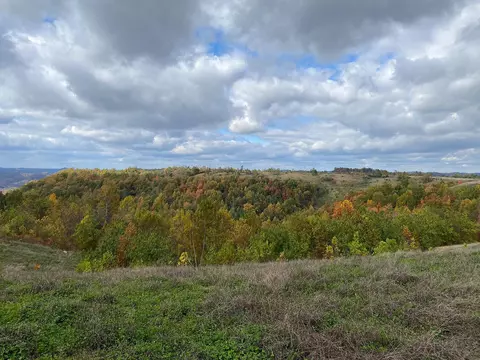 View/Area - 3980 Ky 66, Oneida, KY 40972 photo 9 of 12