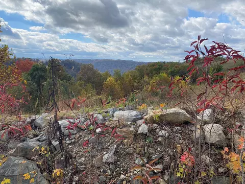 View/Area - 3980 Ky 66, Oneida, KY 40972 photo 6 of 12