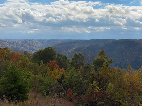 Other - 3980 Ky 66, Oneida, KY 40972 photo 10 of 12