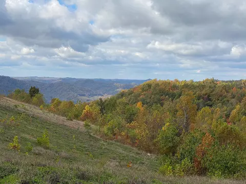 View/Area - 3980 Ky 66, Oneida, KY 40972 photo 8 of 12