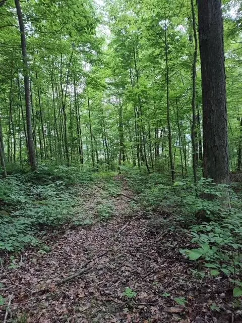 00 Noland Hill Rd, Irvine, KY 40336