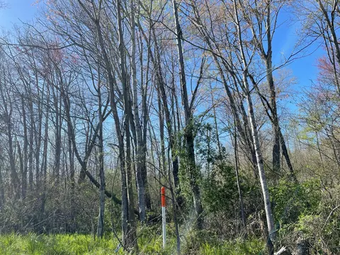 Lot #3 Hubble Acres, Eubank, KY 42567