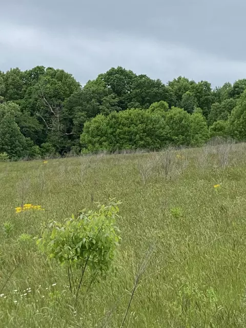 567812 Hwy 501, Kings Mountain, KY 40442