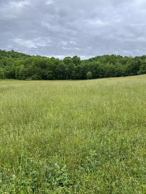 0000 Eberle Rd, Mckee, KY 40447 photo 6