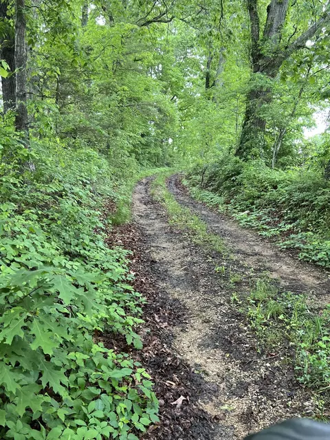 0000 Eberle Rd, Mckee, KY 40447 photo 3