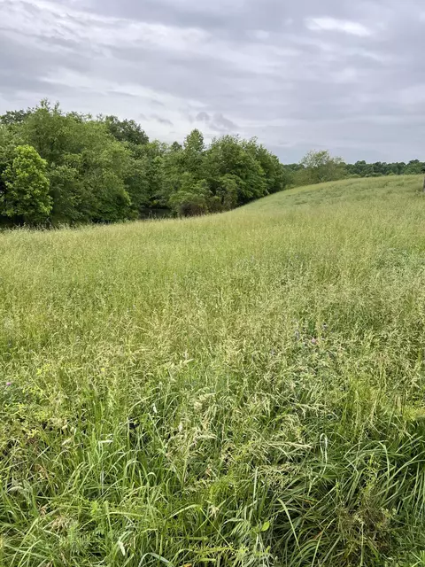 0000 Eberle Rd, Mckee, KY 40447