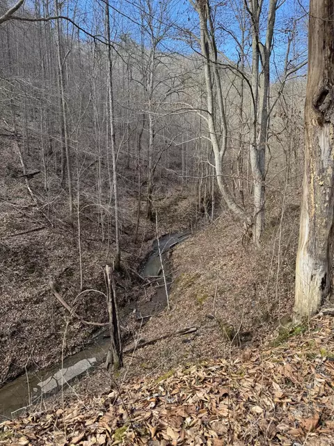 0 Panbowl Rd, Jackson, KY 41339 photo 6