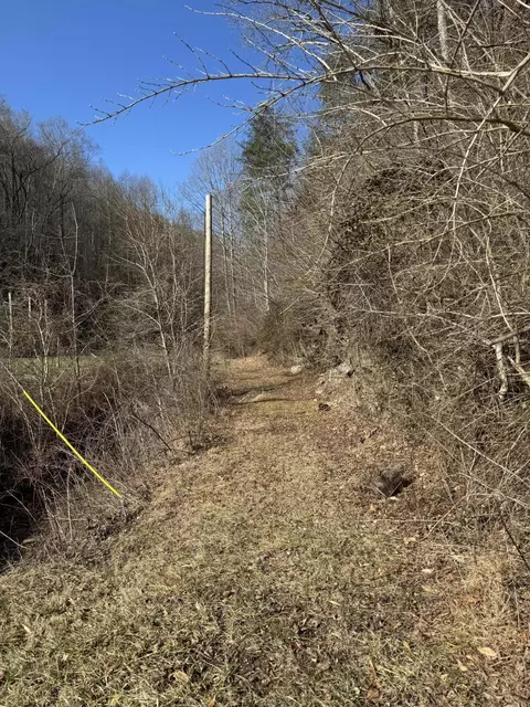 0 Panbowl Rd, Jackson, KY 41339 photo 5
