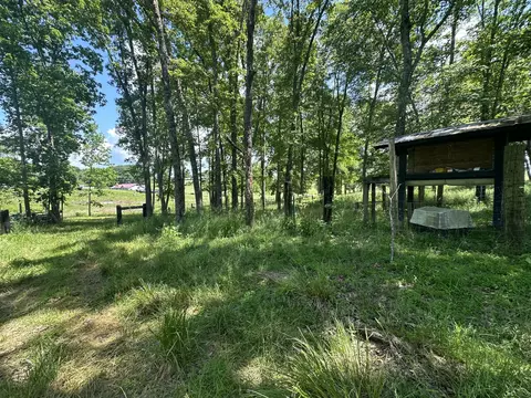 9999 Clarence Elgin Rd, Eubank, KY 42567 photo 52