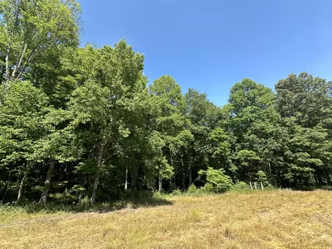 9999 Clarence Elgin Rd, Eubank, KY 42567 photo 82