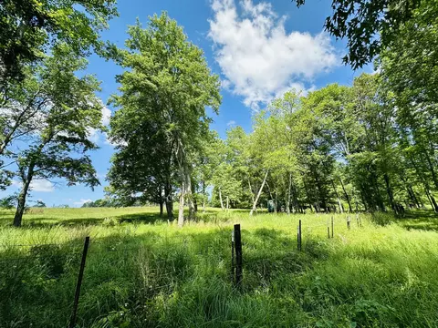 9999 Clarence Elgin Rd, Eubank, KY 42567 photo 29