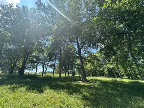 9999 Clarence Elgin Rd, Eubank, KY 42567 photo 59
