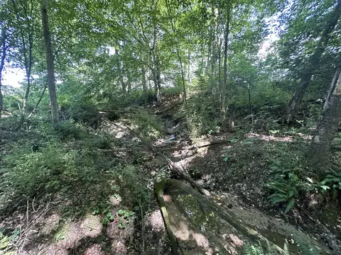 9999 Clarence Elgin Rd, Eubank, KY 42567 photo 78