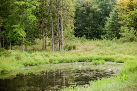 9999 Clarence Elgin Rd, Eubank, KY 42567