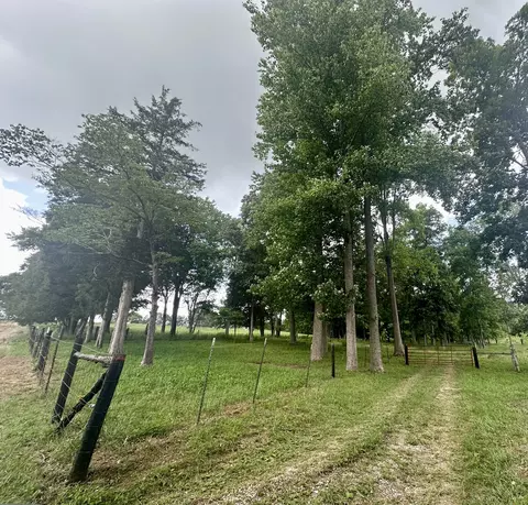 9999 Clarence Elgin Rd, Eubank, KY 42567 photo 94