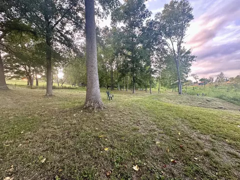 9999 Clarence Elgin Rd, Eubank, KY 42567 photo 3