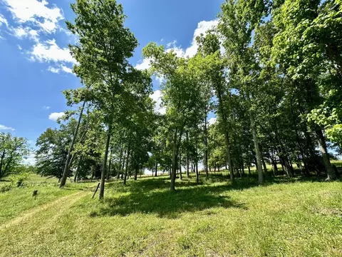 9999 Clarence Elgin Rd, Eubank, KY 42567 photo 32
