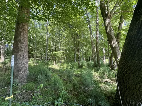 9999 Clarence Elgin Rd, Eubank, KY 42567 photo 88