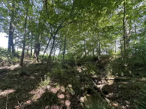 9999 Clarence Elgin Rd, Eubank, KY 42567 photo 76