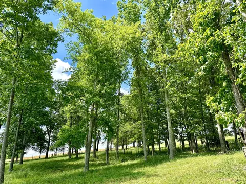 9999 Clarence Elgin Rd, Eubank, KY 42567 photo 34