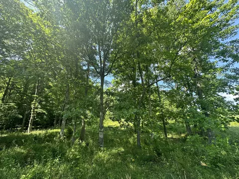 9999 Clarence Elgin Rd, Eubank, KY 42567 photo 55