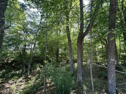 9999 Clarence Elgin Rd, Eubank, KY 42567 photo 79
