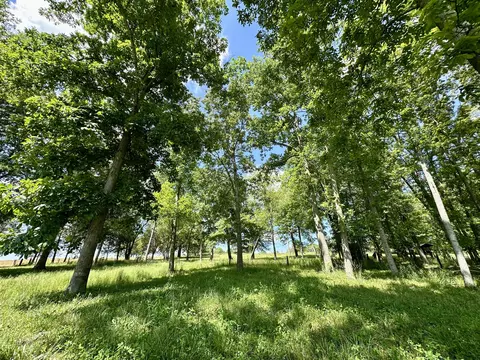 9999 Clarence Elgin Rd, Eubank, KY 42567 photo 30