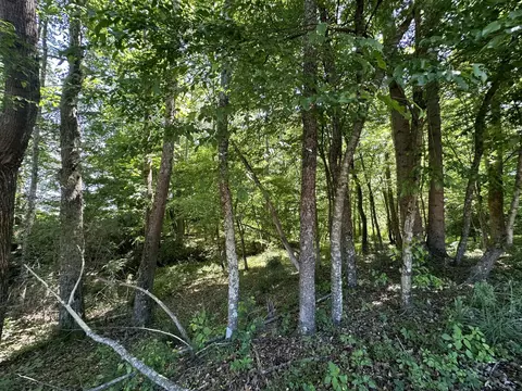9999 Clarence Elgin Rd, Eubank, KY 42567 photo 72