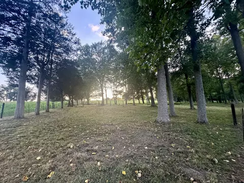 9999 Clarence Elgin Rd, Eubank, KY 42567 photo 6
