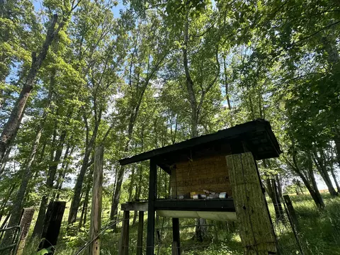 9999 Clarence Elgin Rd, Eubank, KY 42567 photo 44