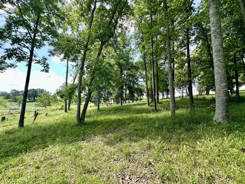 9999 Clarence Elgin Rd, Eubank, KY 42567 photo 37