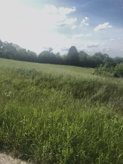 5 S Chowning Ln, Bloomfield, KY 40008