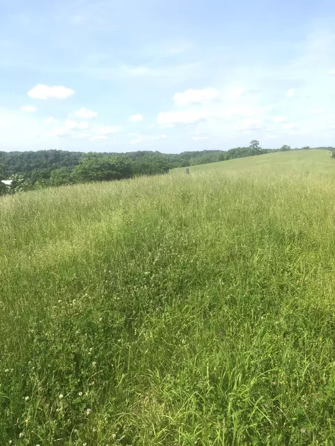 6 S Chowning Ln, Bloomfield, KY 40008