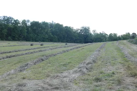 1 Upper Sharpsburg Rd # -A, Carlisle, KY 40311