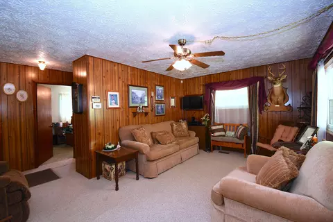 608 Stephens Ln, Sandy Hook, KY 41171 photo 7