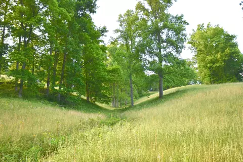 608 Stephens Ln, Sandy Hook, KY 41171 photo 30