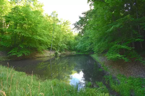 608 Stephens Ln, Sandy Hook, KY 41171 photo 3