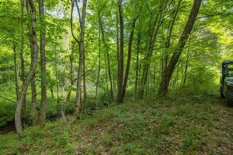 5496 Ewing Rd, Ewing, KY 41039 photo 23