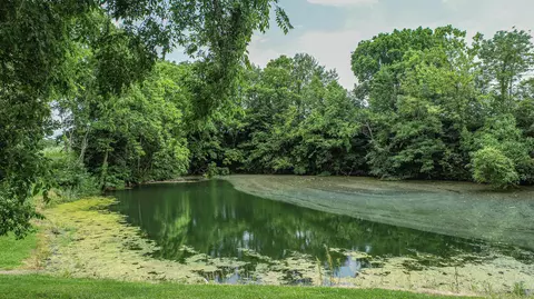 5496 Ewing Rd, Ewing, KY 41039 photo 4