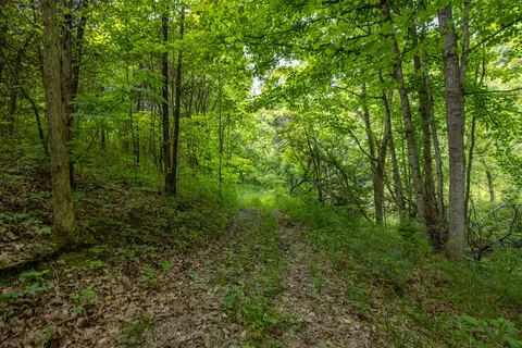 5496 Ewing Rd, Ewing, KY 41039 photo 24